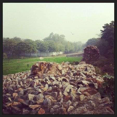 Siri Fort